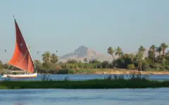 نايل كروز